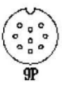 M19 9-pin catalog face reference