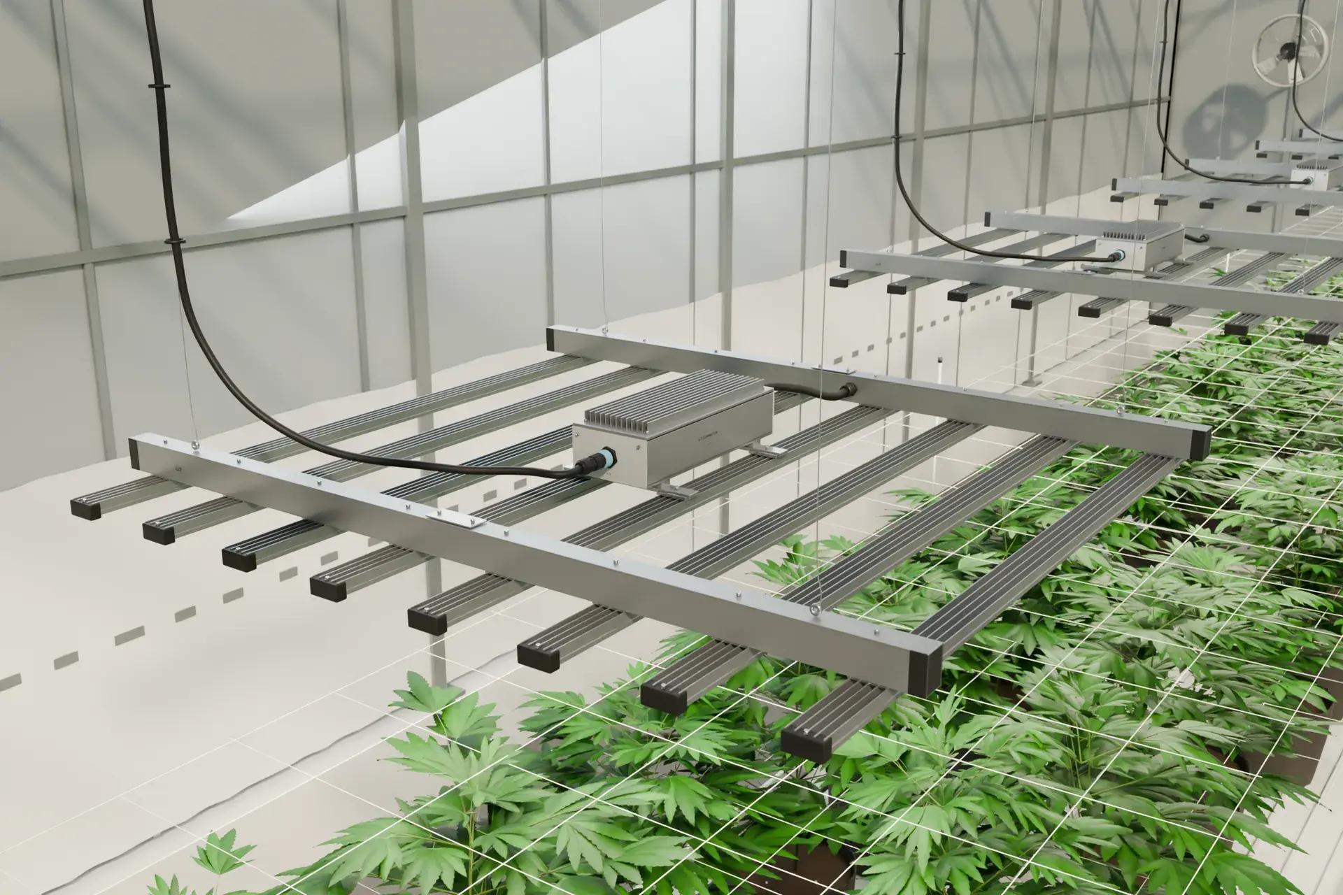 户外与温室照明应用示意,具体接口按设备图纸确认