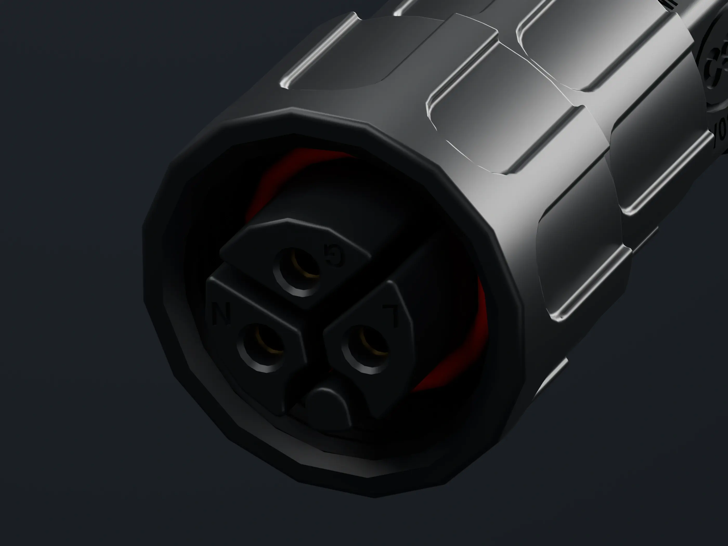 M19 structure close-up